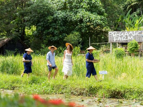 Фото TreeHouse Villas