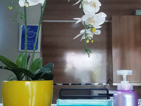 Фото Accordia Dago