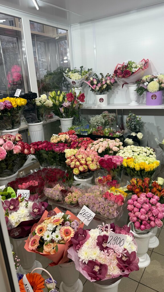Flower shop Дмитровская база цветов, Dmitrov, photo