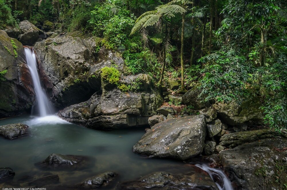 Фото Hyatt Regency Grand Reserve Puerto Rico