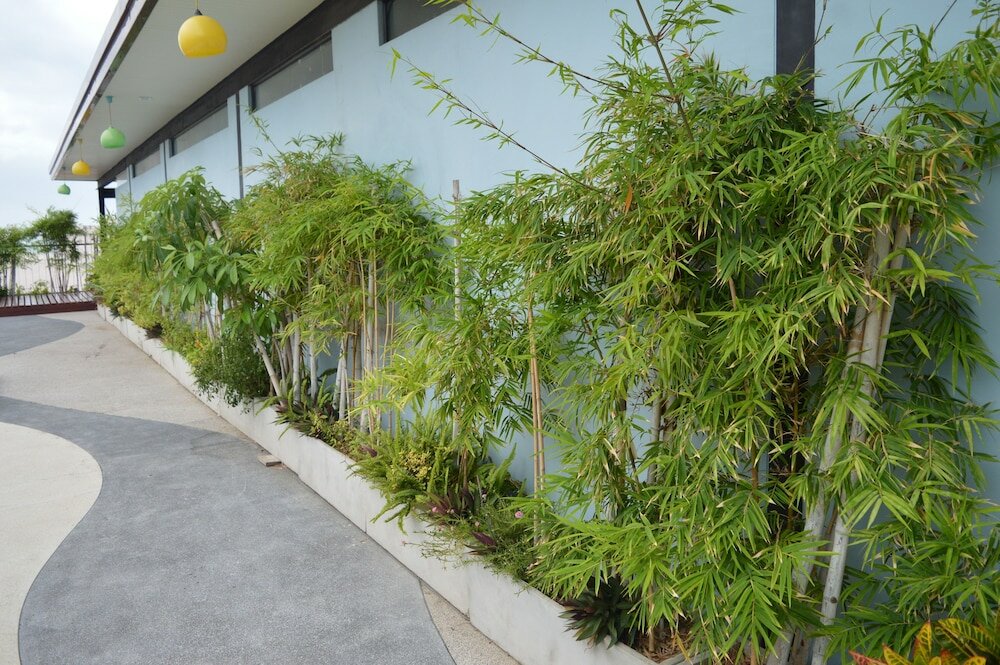 Фото Aya Boutique Hotel Pattaya