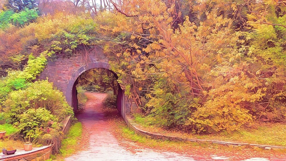 Фото Ivybridge Guest House