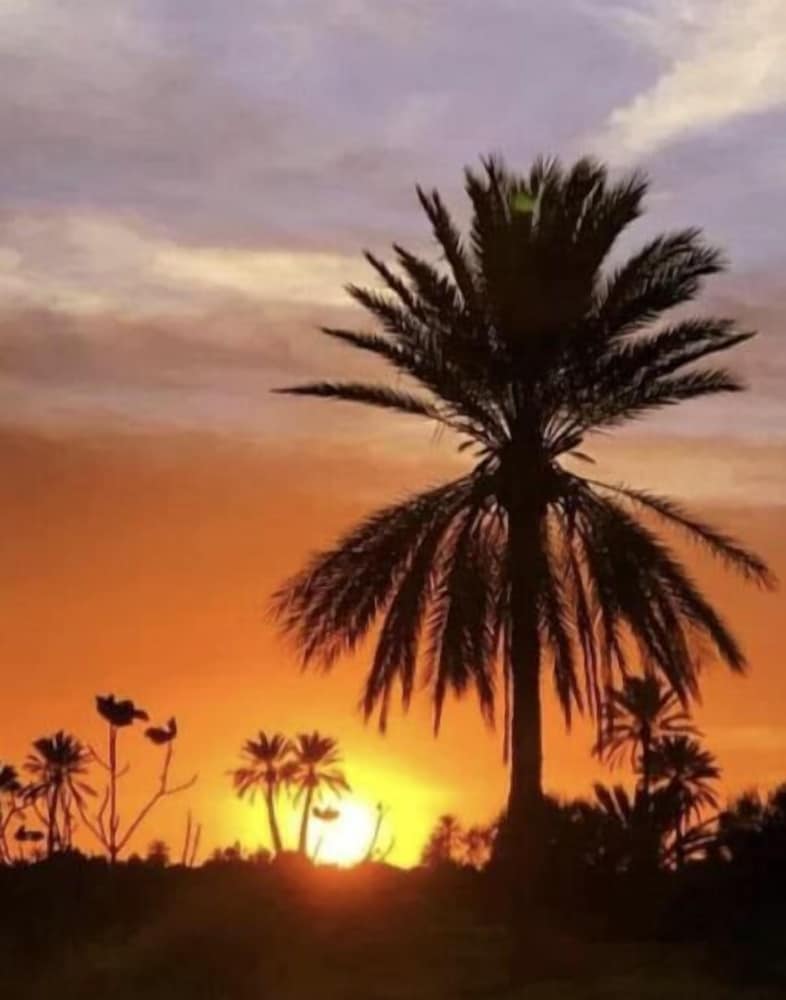 Фото Djerba Orient