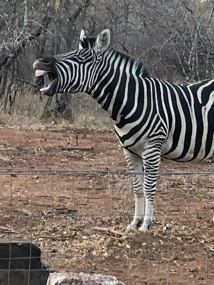 Фото Call of the Wild Lodge