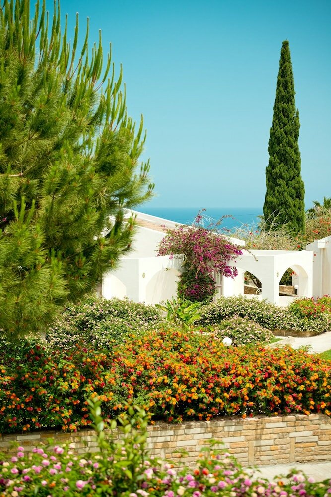 Фото The Olive Tree Hotel