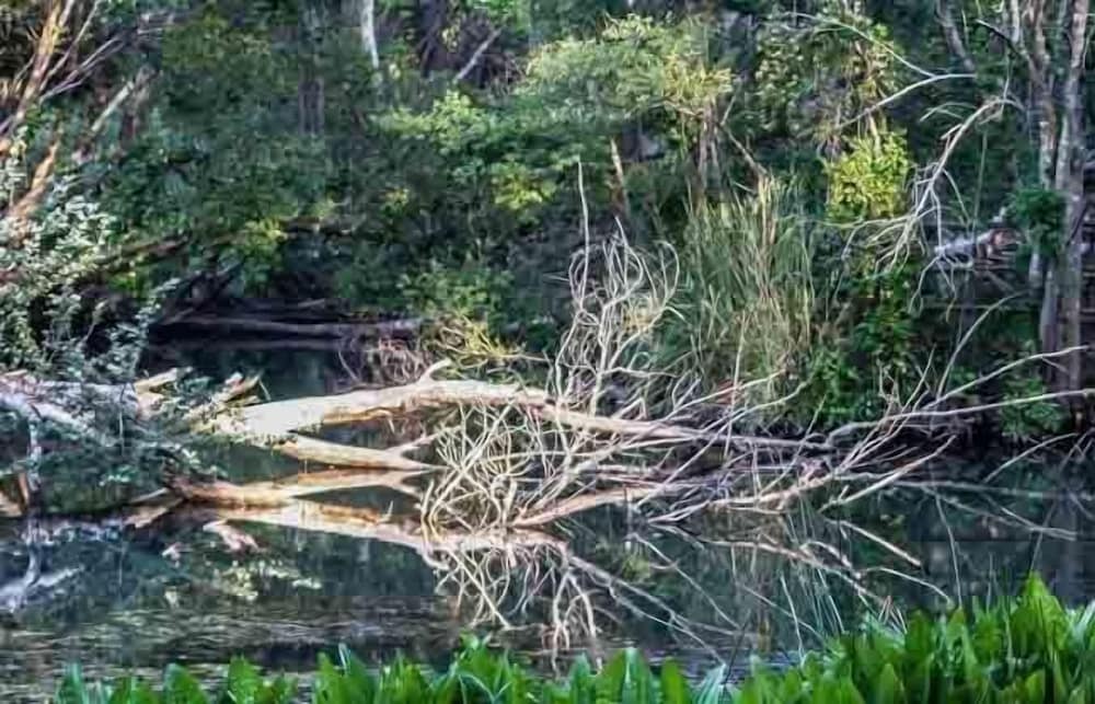 Фото Valley Lodge & SPA