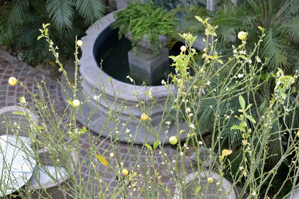 Фото Hotel Casa Blanca 7