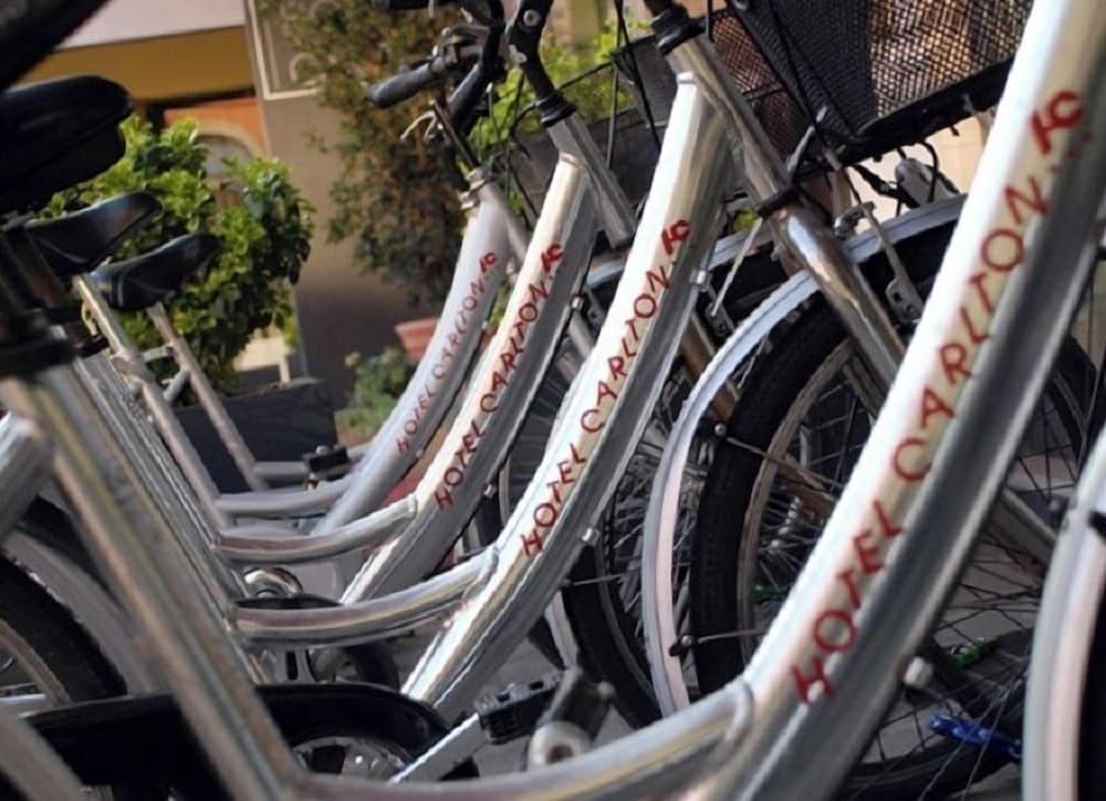 Фото Residence Carlton