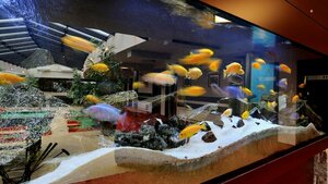 Гостиница Hotel Diament Spodek Katowice