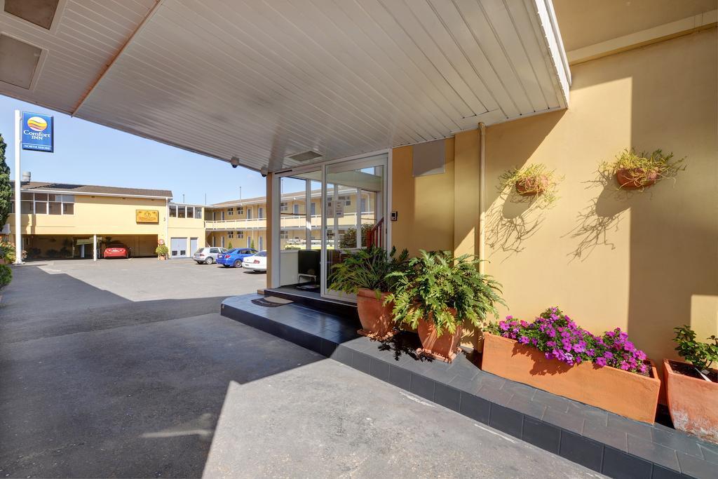 Фото Comfort Inn North Shore