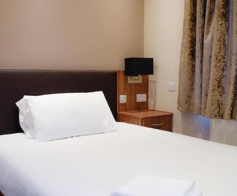 Фото Casuarina Tree