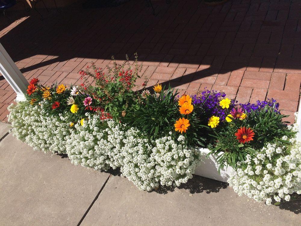 Фото Inn on the Paseo