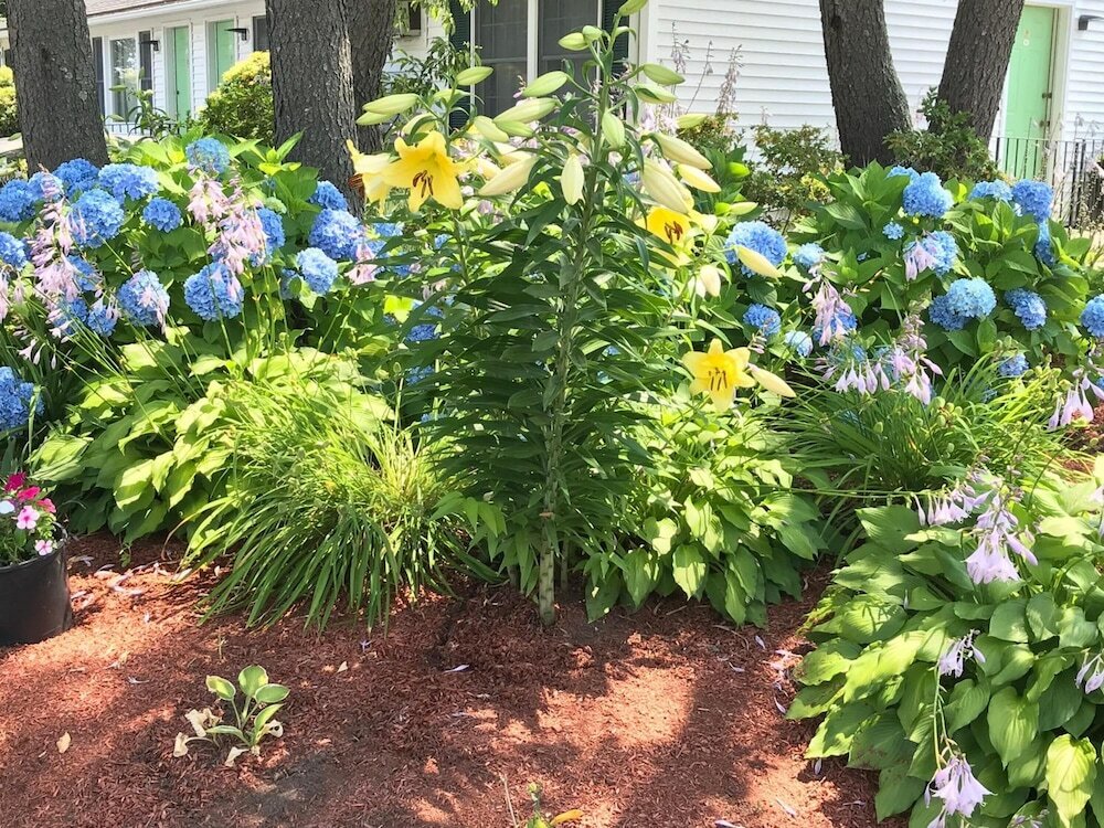 Фото Founder's Brook Motel and Suites
