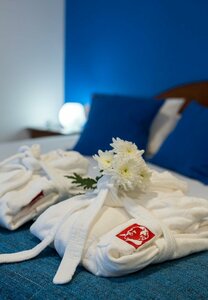 Гостиница Alcides