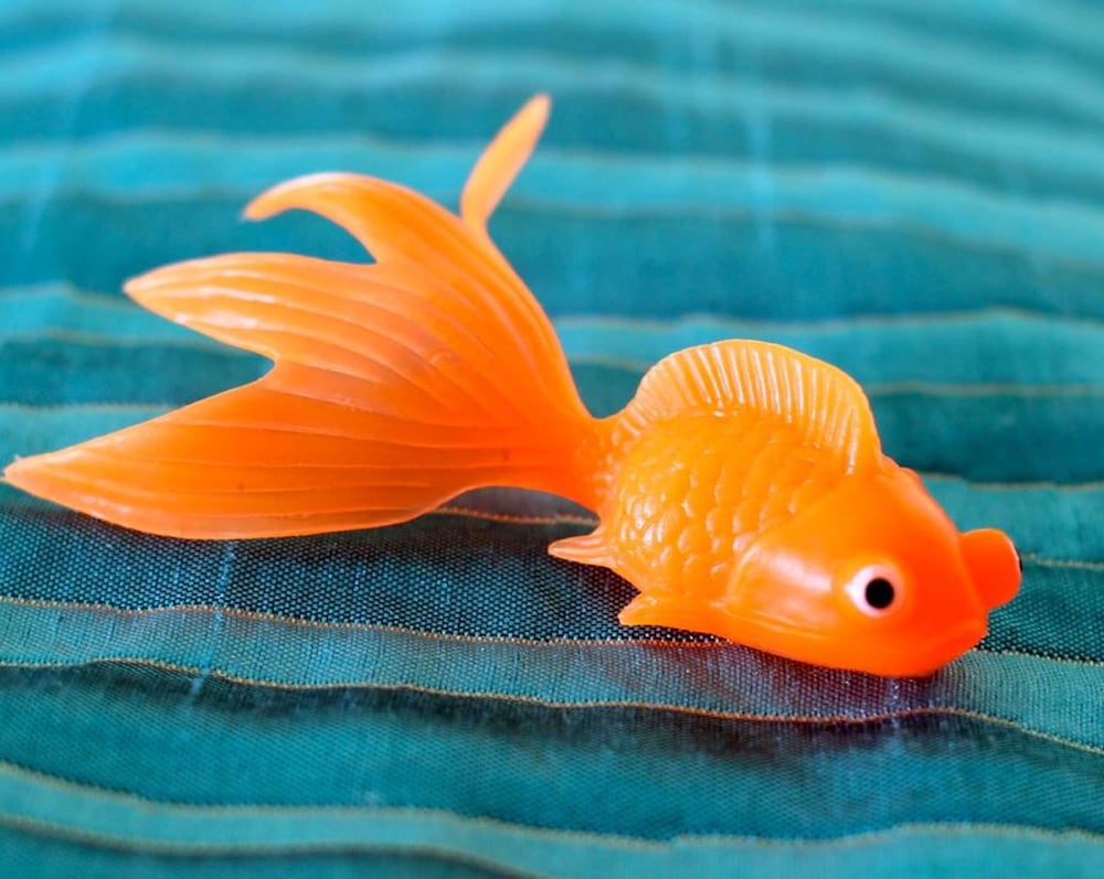 Фото Aston Waikiki Circle Hotel