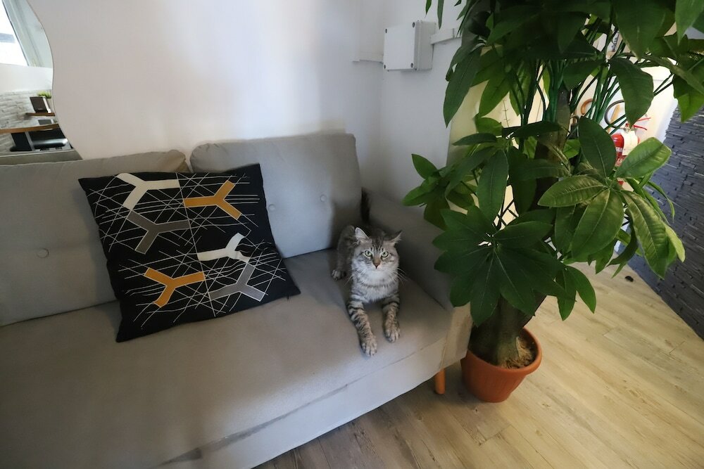 Фото Guest House Pirelli