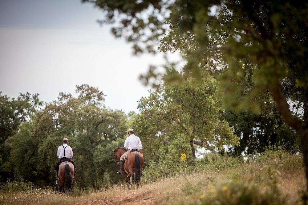 Фото Monte da Esperança