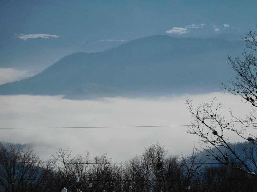 Фото Madarao Elm Pension