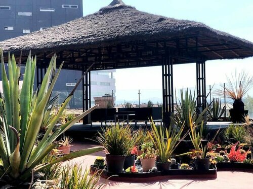 Гостиница Holiday Inn Express Pachuca, an Ihg Hotel в Штате Идальго