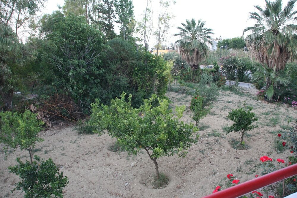 Фото Violetta Hotel