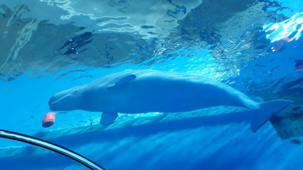 Фото Xing Ji Hotel