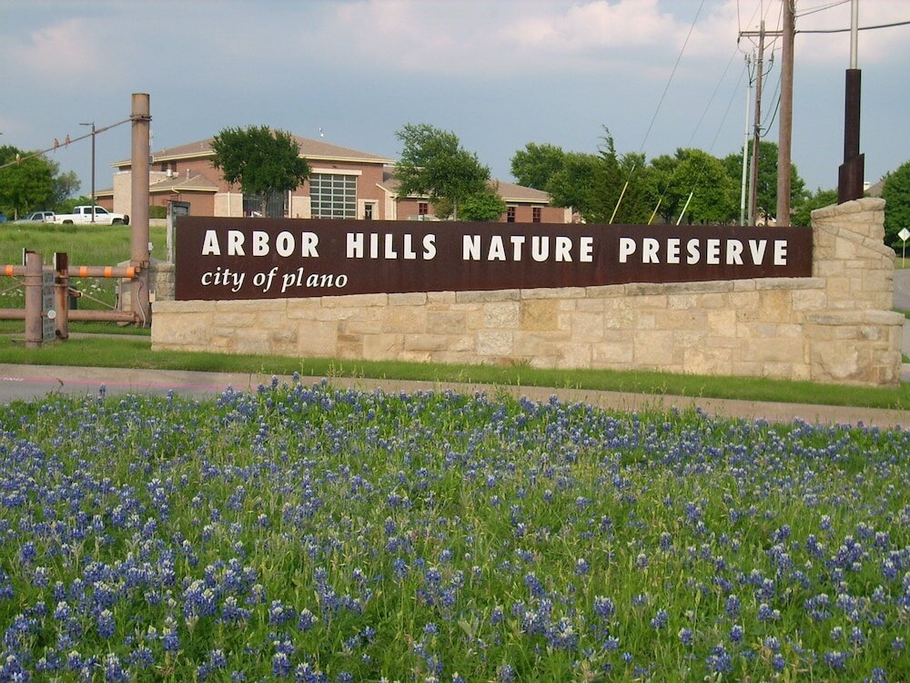 Фото The One Boutique Hotel