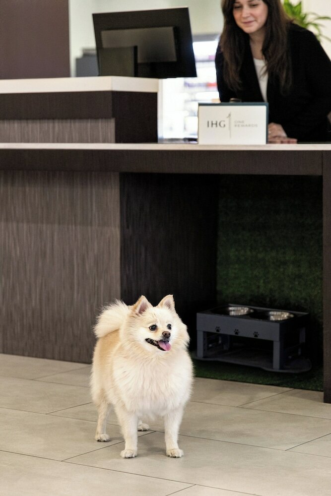 Фото Crowne Plaza Orlando - Lake Buena Vista