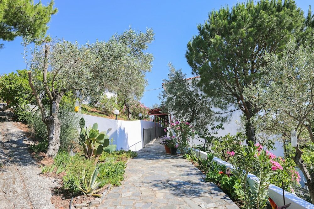 Фото Angelina Studios