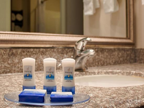 Фото Best Western Plus O'Hare International South Hotel