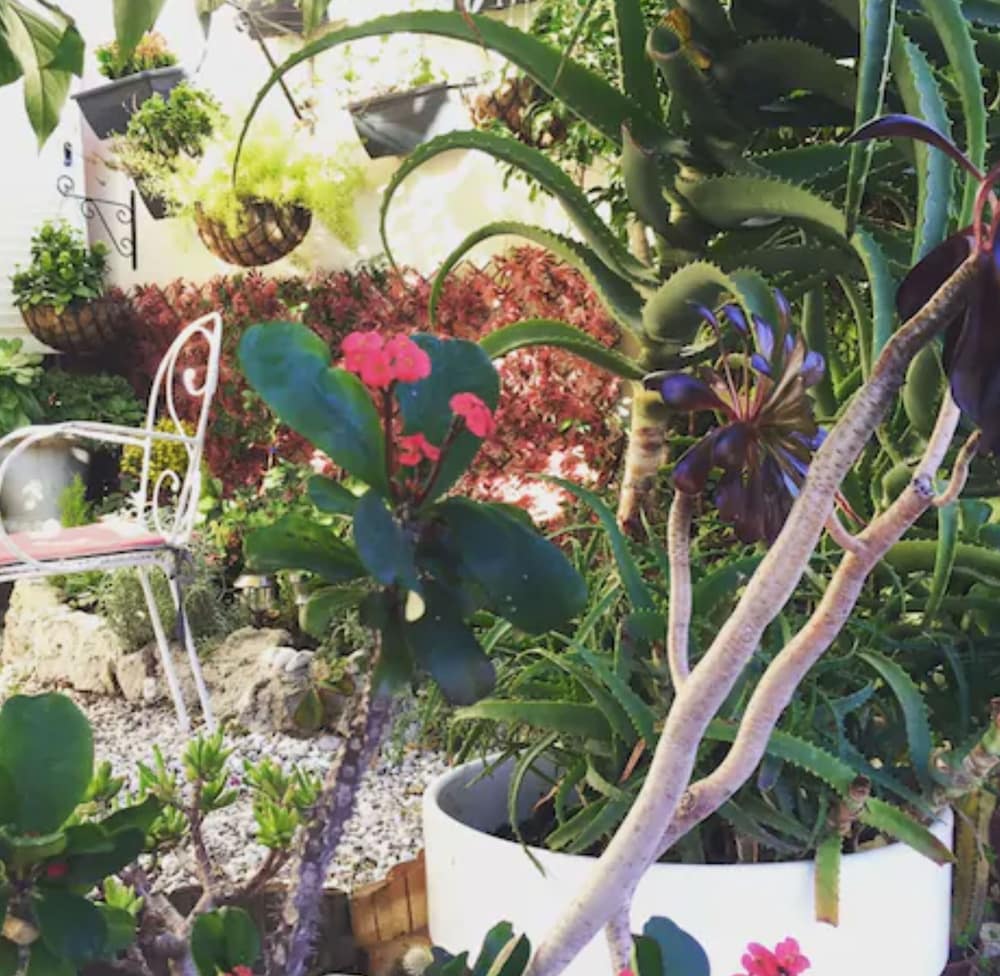 Фото Hôtel Danemark