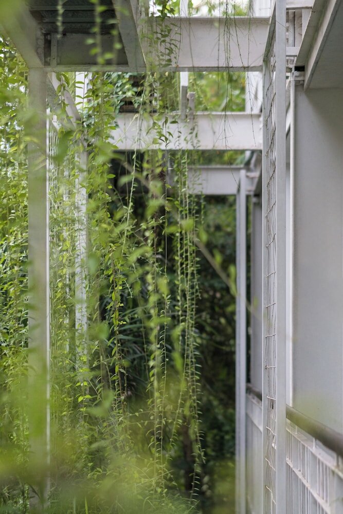 Фото Rimbun Canggu Hotel & Villa