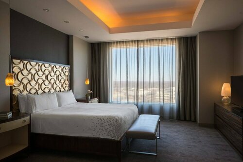 Гостиница Renaissance Schaumburg Convention Center Hotel в Роллинг Мидоус