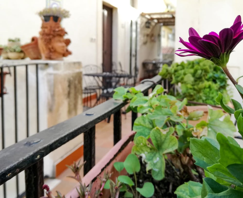 Фото Piccolo Hotel Casa Mia