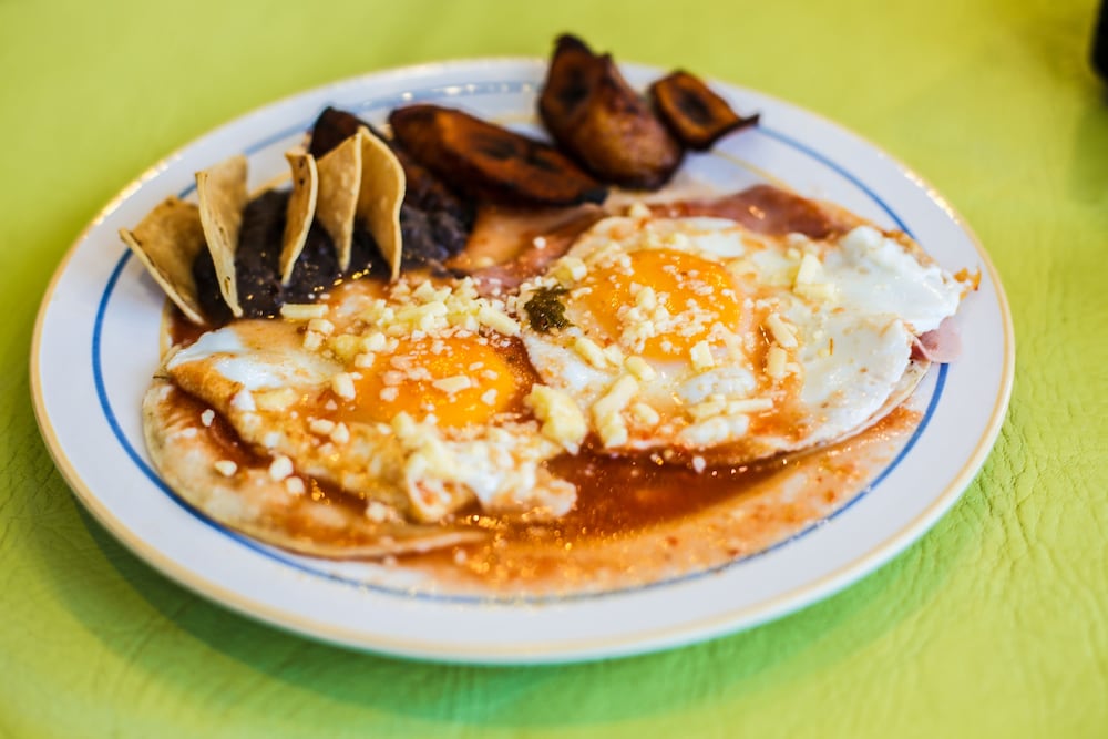 Фото Hotel Las Golondrinas