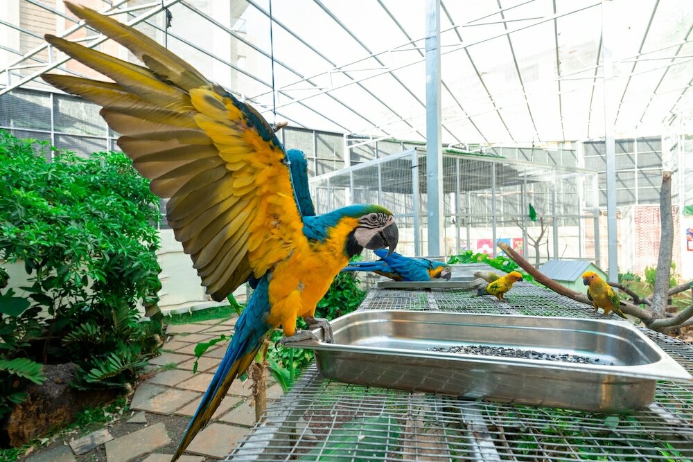 Фото Mystic Valley SPA Resort