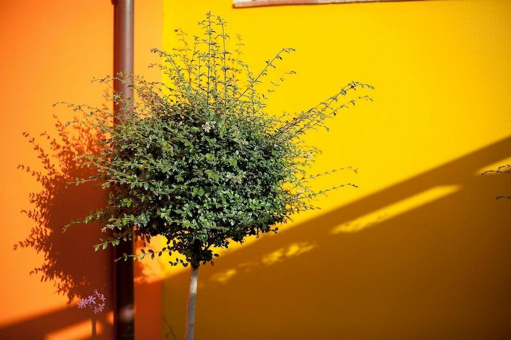 Фото Marin Hotel