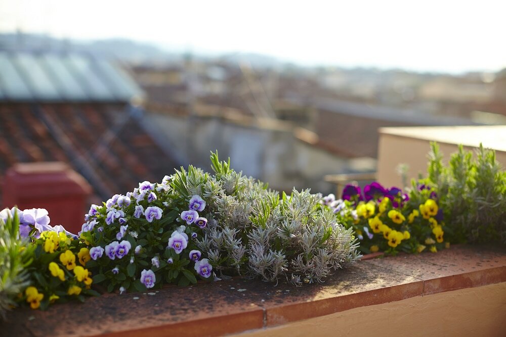 Фото Antica Dimora Johlea - Antiche Dimore Fiorentine