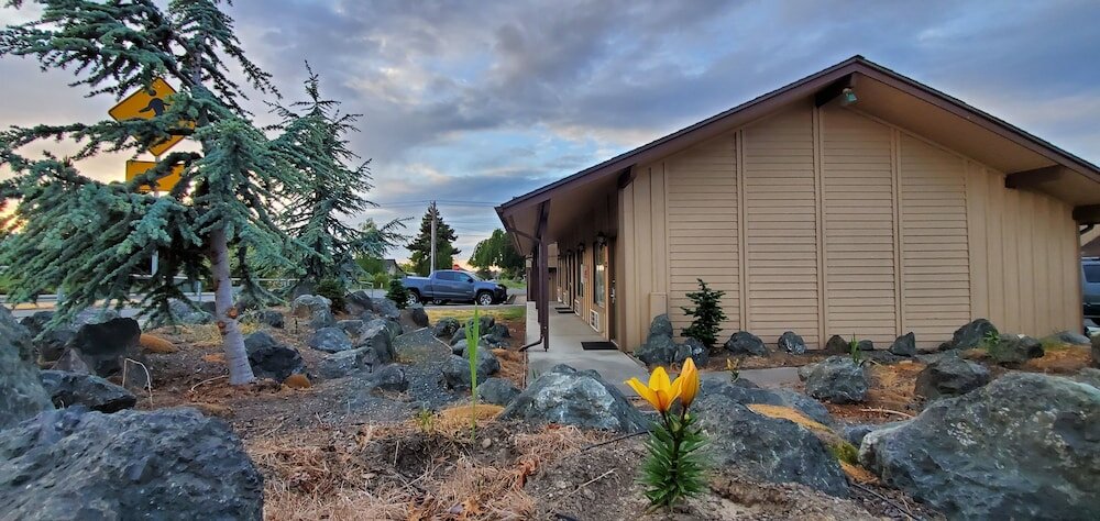 Фото Olympic View Inn