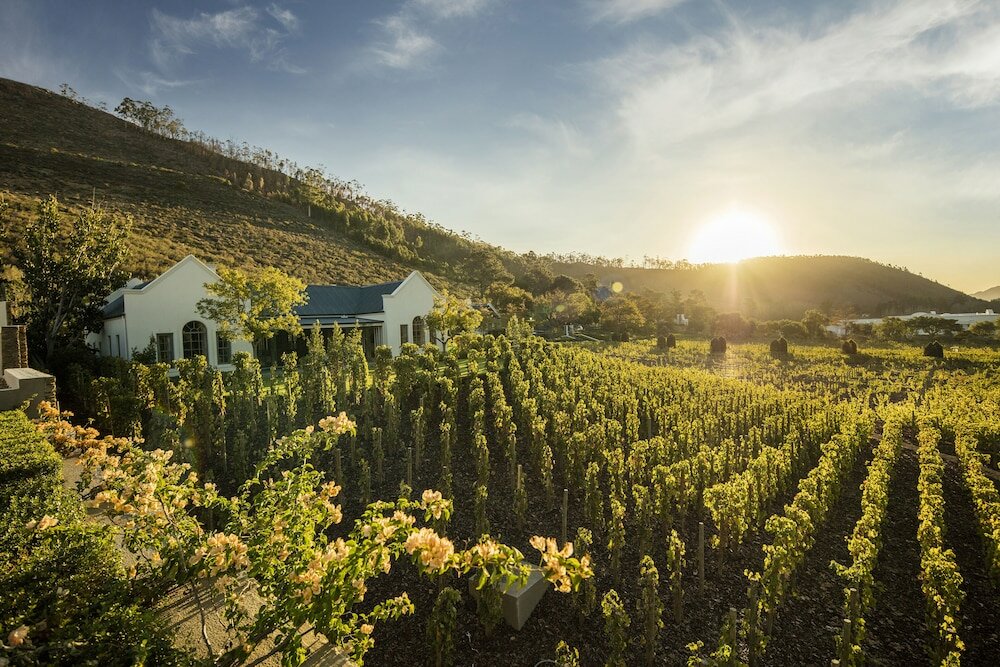 Фото Leeu Estates