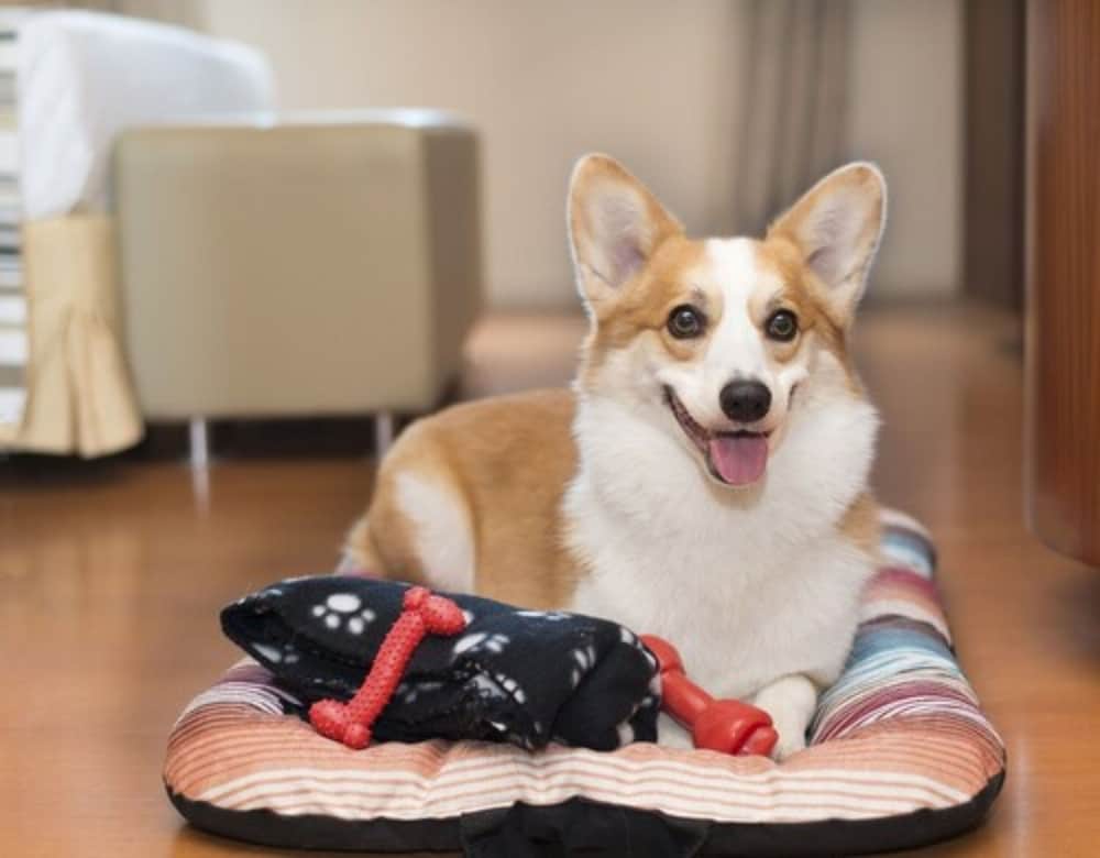 Фото San Diego Suítes Veredas Sete Lagoas