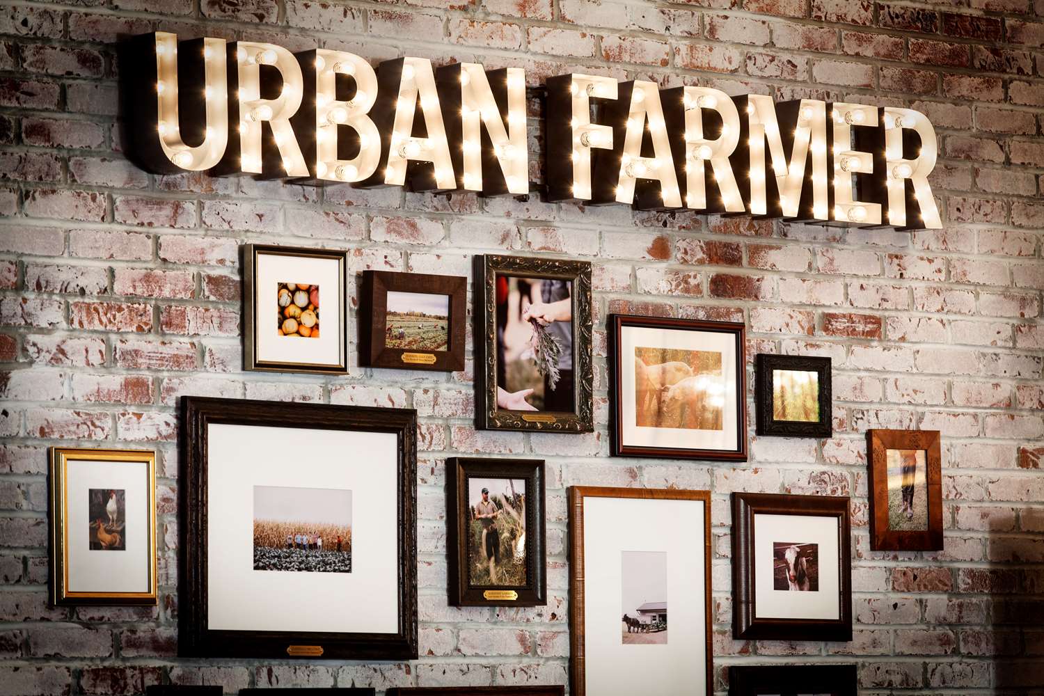 Фото The Logan Philadelphia, Curio Collection by Hilton