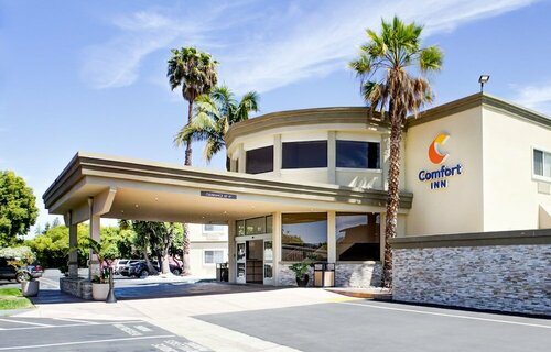 Гостиница Comfort Inn Sunnyvale - Silicon Valley в Саннивейле