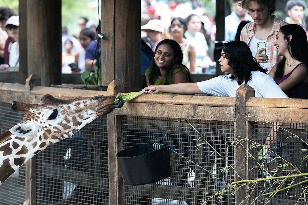 Фото Crowne Plaza Dallas Downtown