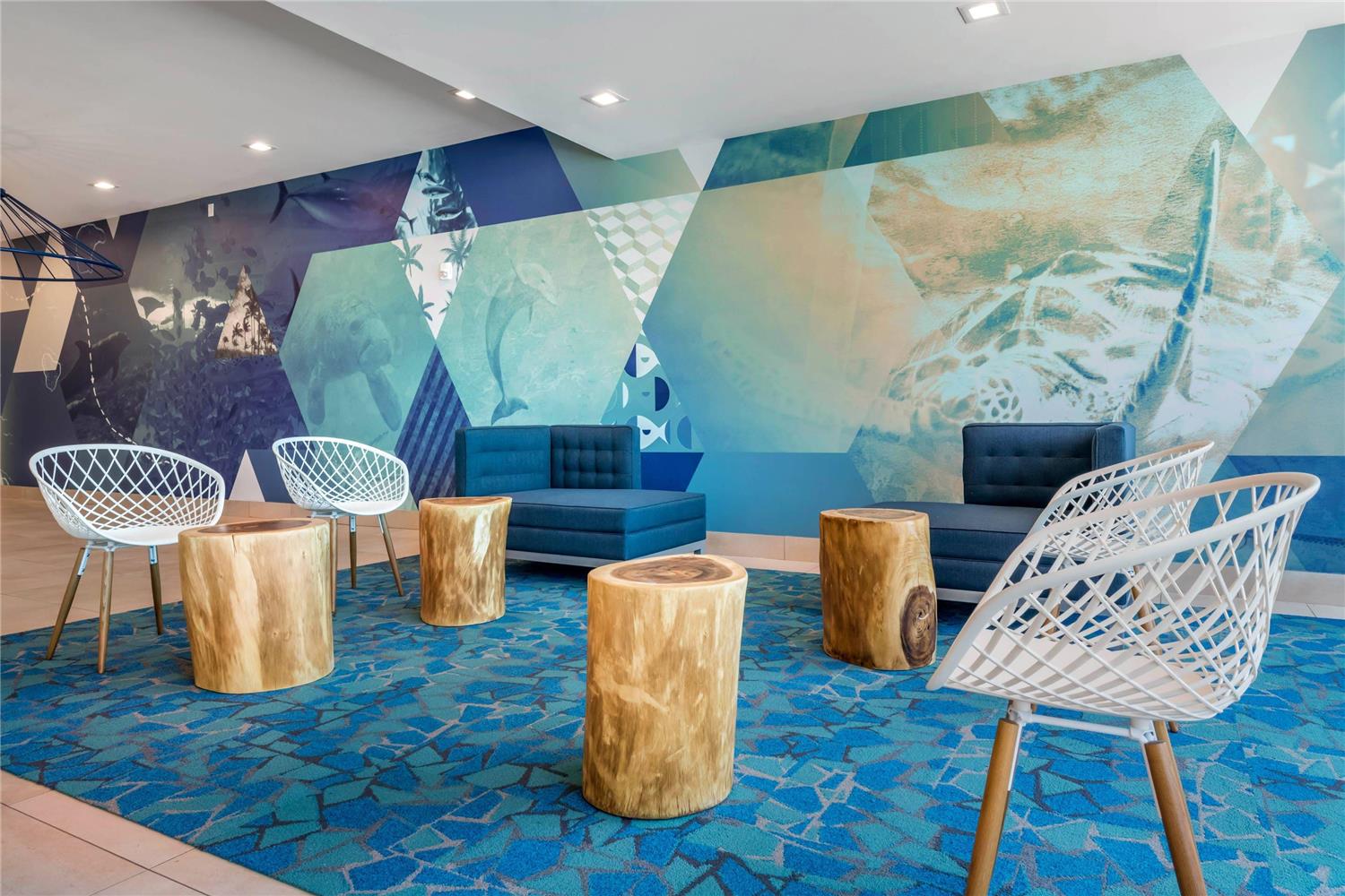 Фото Cambria Hotel St Petersburg-Madeira Beach Marina