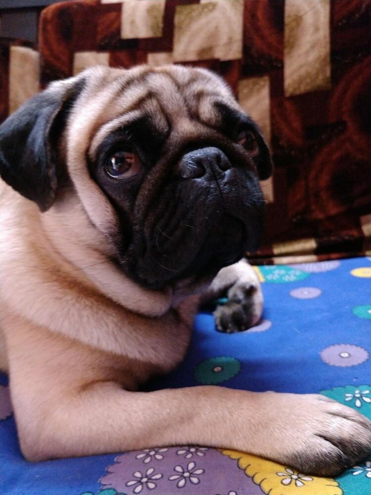 Фото Hilias Retreat