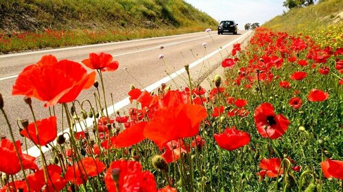 Гостиница Hotel Sol e Serra в Округе Порталегри