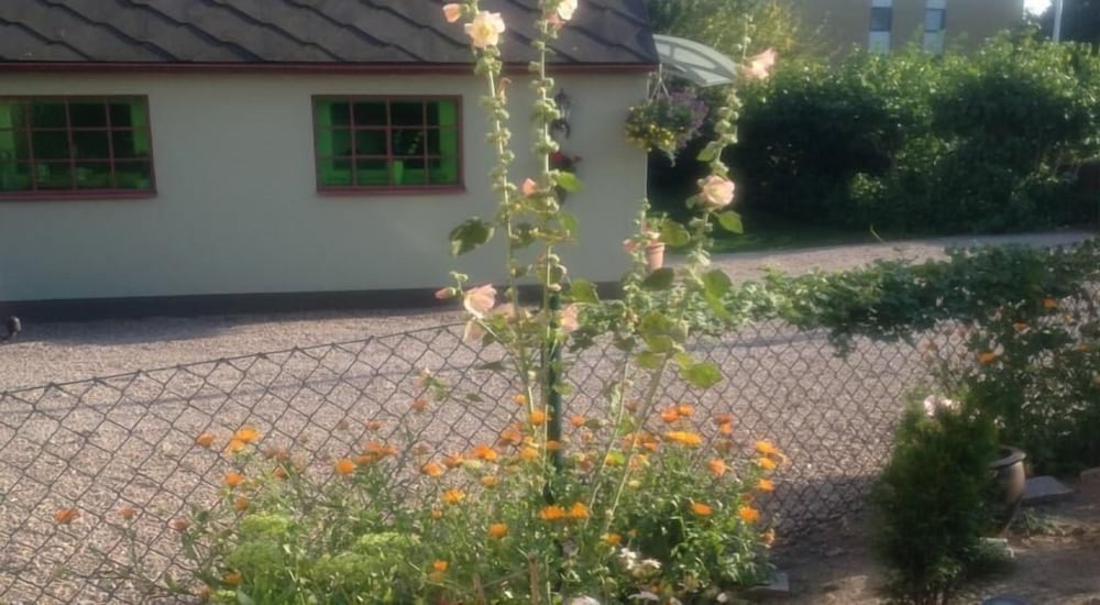 Фото Vivans Bed & Self catering