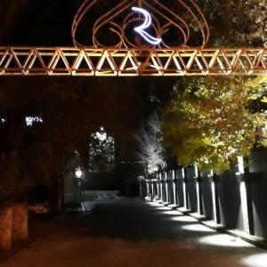 Фото Renion Hotel