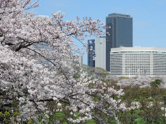 Фото Hotel New Otani Osaka