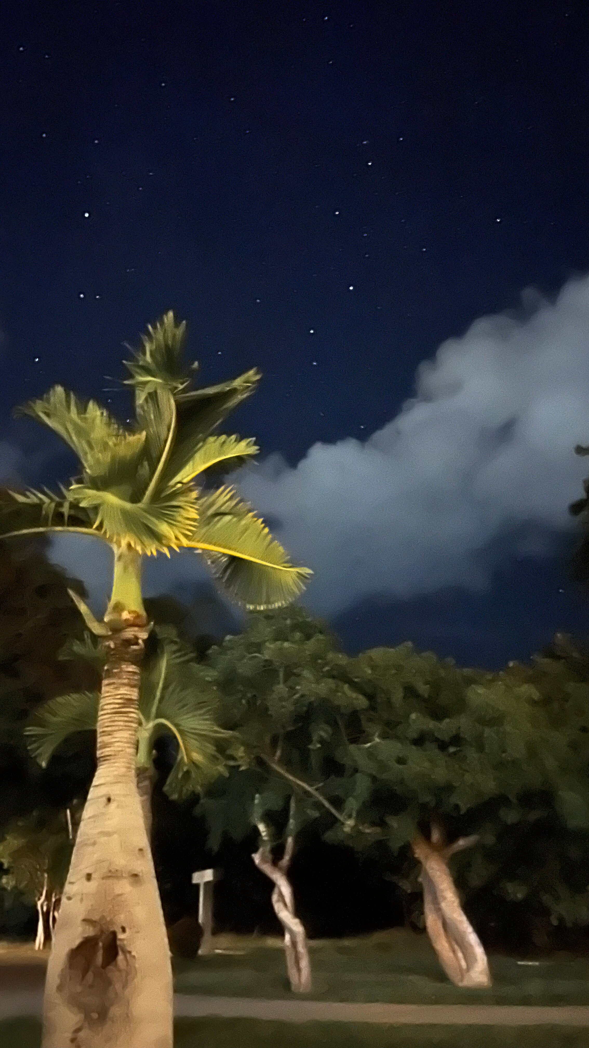 Фото Melia Peninsula Varadero
